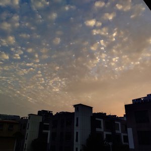 异形之馆下载安卓手机
