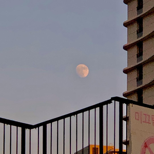 异形之馆下载安卓手机
