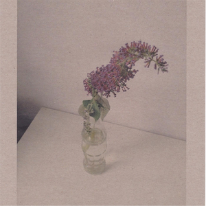 异形之馆下载安卓手机
